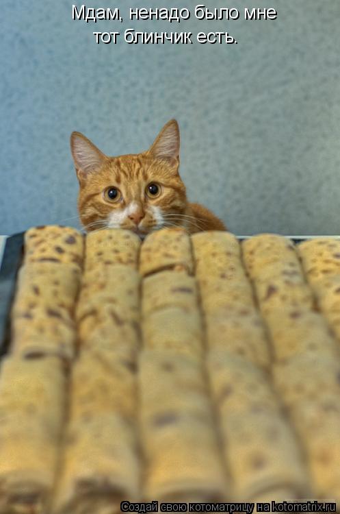 Мдам, ненадо было мне тот блинчик есть.... Котоматрица: Мдам, ненадо было мне тот блинчик есть.