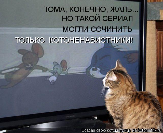 ТОМА, КОНЕЧНО, ЖАЛЬ... НО ТАКОЙ СЕРИАЛ МОГЛИ СОЧИНИТЬ ТОЛЬКО КОТОНЕНАВИСТНИКИ!... Котоматрица: ТОМА, КОНЕЧНО, ЖАЛЬ... НО ТАКОЙ СЕРИАЛ МОГЛИ СОЧИНИТЬ ТОЛЬКО КОТОНЕНАВИСТНИКИ!