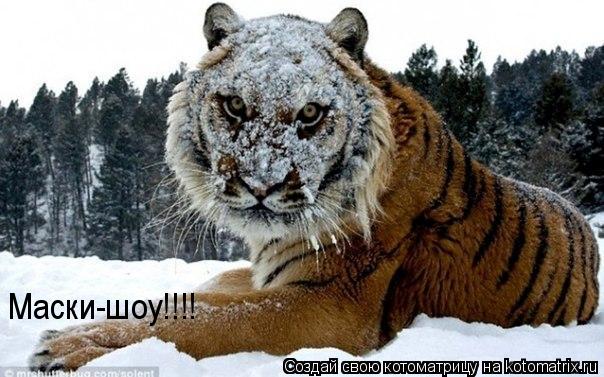 Маски-шоу!!!!... Котоматрица: Маски-шоу!!!!