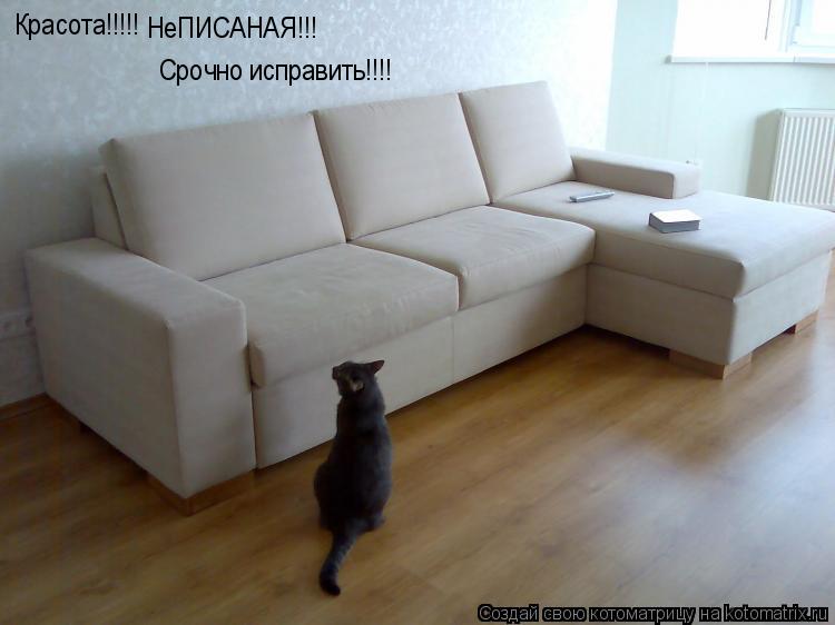 Красота!!!!! НеПИСАНАЯ!!! Срочно исправить!!!!... Котоматрица: Красота!!!!! НеПИСАНАЯ!!! Срочно исправить!!!!