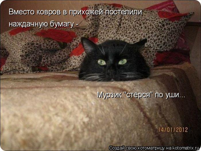 Вместо ковров в прихожей постелили наждачную бумагу - Мурзик "стёрся" по уши...... Котоматрица: Вместо ковров в прихожей постелили наждачную бумагу - Мурзик "стёрся" по уши...