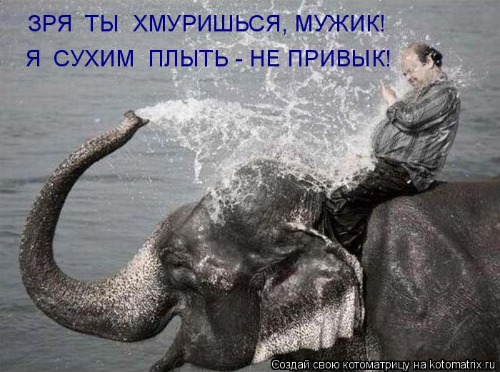 ЗРЯ ТЫ ХМУРИШЬСЯ, МУЖИК! Я СУХИМ ПЛЫТЬ - НЕ ПРИВЫК!... Котоматрица: ЗРЯ ТЫ ХМУРИШЬСЯ, МУЖИК! Я СУХИМ ПЛЫТЬ - НЕ ПРИВЫК!