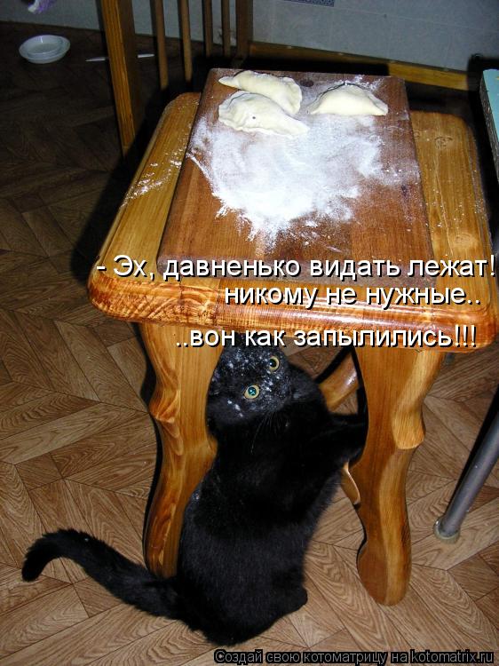 - Эх, давненько видать лежат! никому не нужные.. ..вон как запылились!!!... Котоматрица: - Эх, давненько видать лежат! никому не нужные.. ..вон как запылились!!!