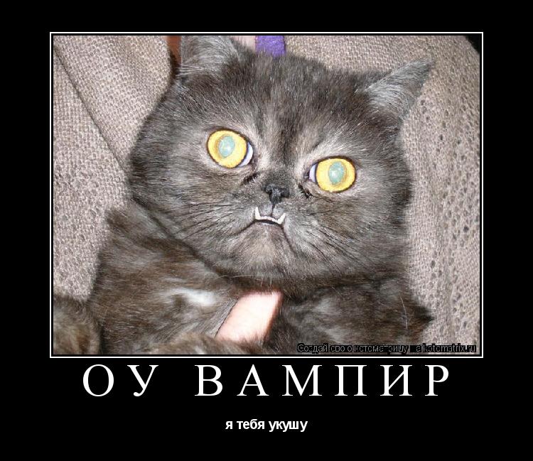 Котоматрица: оу вампир я тебя укушу