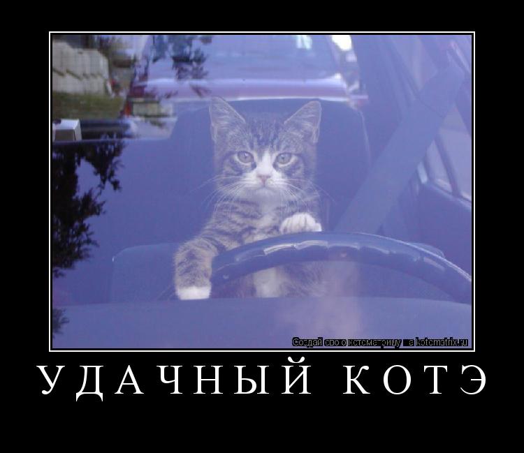 Котоматрица: Удачный котэ 