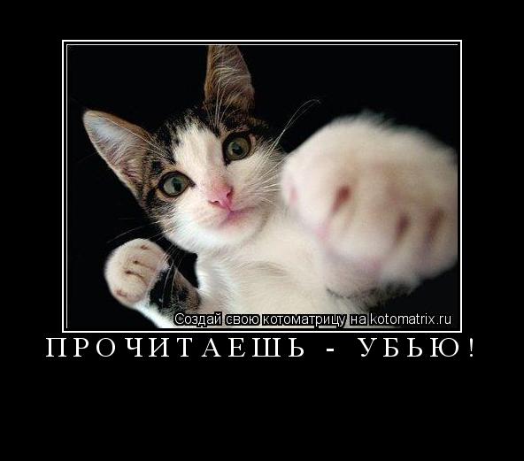 Прочитаешь - УБЬЮ! ... Котоматрица: Прочитаешь - УБЬЮ!