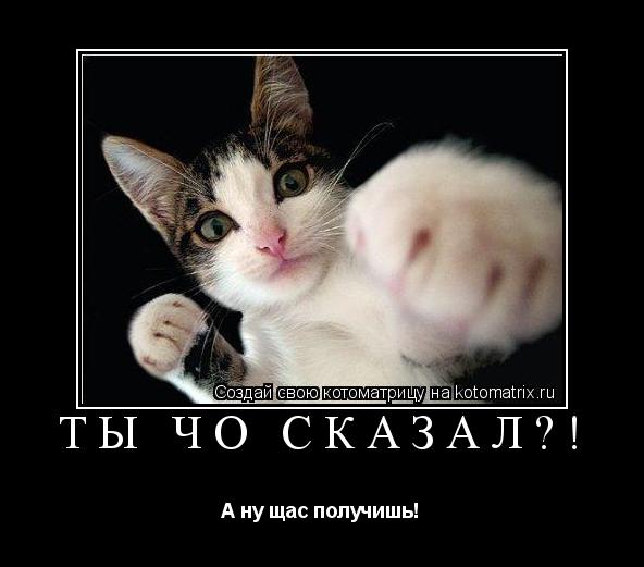 Котоматрица: Ты чо сказал?! А ну щас получишь!