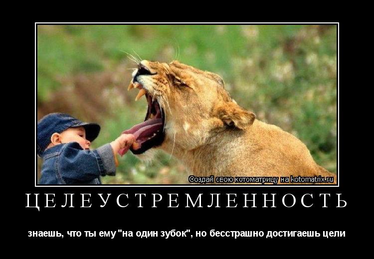 Котоматрица: целеустремленность знаешь, что ты ему "на один зубок", но бесстрашно достигаешь цели