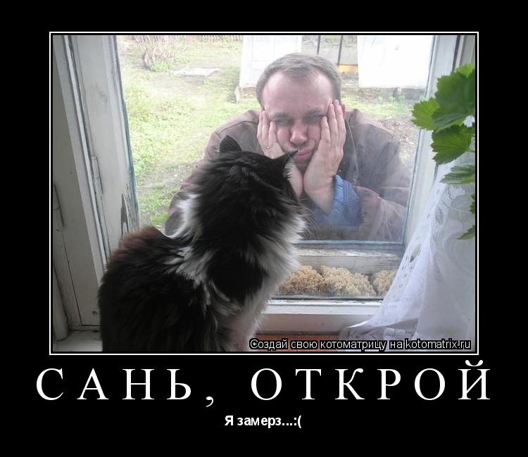 Сань, открой Я замерз...:(... Котоматрица: Сань, открой Я замерз...:(