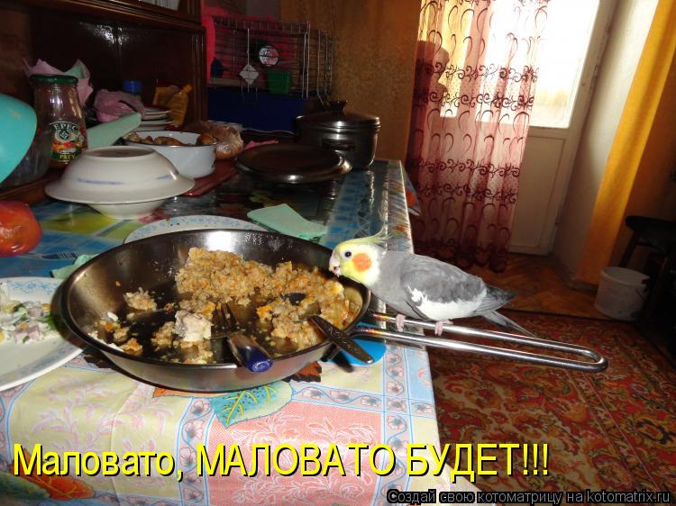 Маловато, МАЛОВАТО БУДЕТ!!!... Котоматрица: Маловато, МАЛОВАТО БУДЕТ!!!