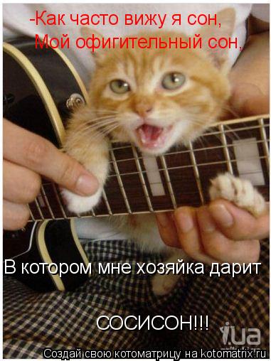 Котоматрица: -Как часто вижу я сон, Мой офигительный сон, СОСИСОН!!! В котором мне хозяйка дарит