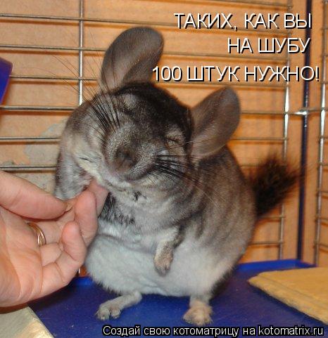 Котоматрица: ТАКИХ, КАК ВЫ НА ШУБУ 100 ШТУК НУЖНО!