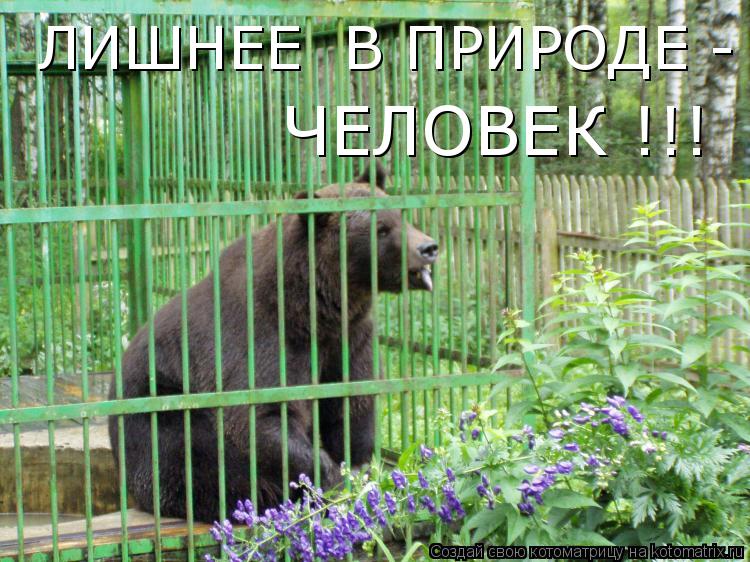 Котоматрица: ЛИШНЕЕ  В ПРИРОДЕ -  ЧЕЛОВЕК !!!