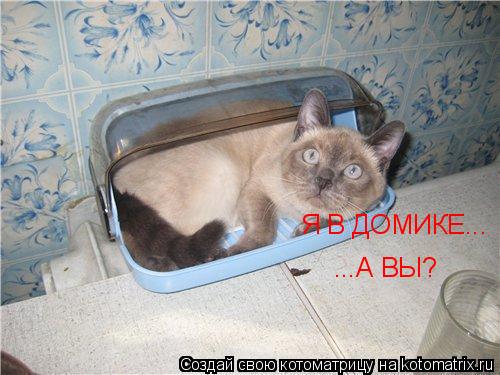 Котоматрица: Я В ДОМИКЕ... ...А ВЫ?