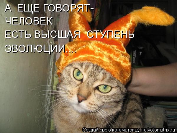 Котоматрица: А  ЕЩЕ ГОВОРЯТ- ЧЕЛОВЕК  ЕСТЬ ВЫСШАЯ  СТУПЕНЬ  ЭВОЛЮЦИИ....