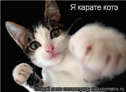 Котоматрица: Я карате котэ Я карате котэ