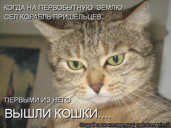 Котоматрица: КОГДА НА ПЕРВОБЫТНУЮ  ЗЕМЛЮ СЕЛ КОРАБЛЬ ПРИШЕЛЬЦЕВ, ПЕРВЫМИ ИЗ НЕГО ВЫШЛИ КОШКИ....