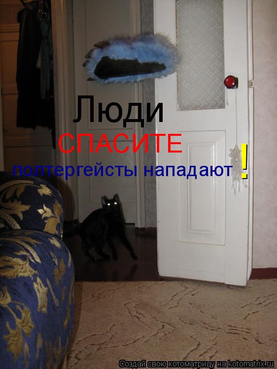 Котоматрица: Люди  СПАСИТЕ полтергейсты нападают !