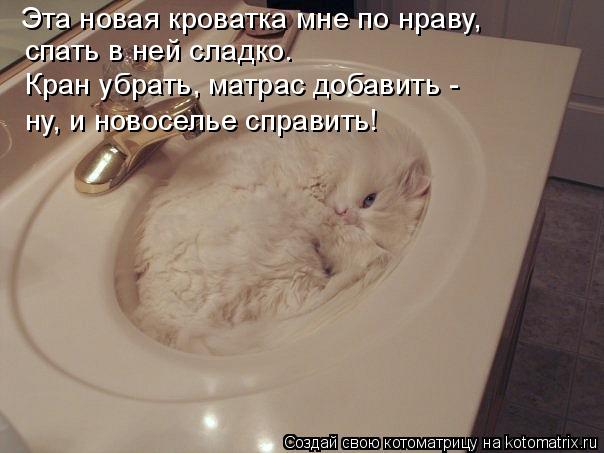 Котоматрица: Эта новая кроватка мне по нраву, спать в ней сладко. Кран убрать, матрас добавить -  ну, и новоселье справить!