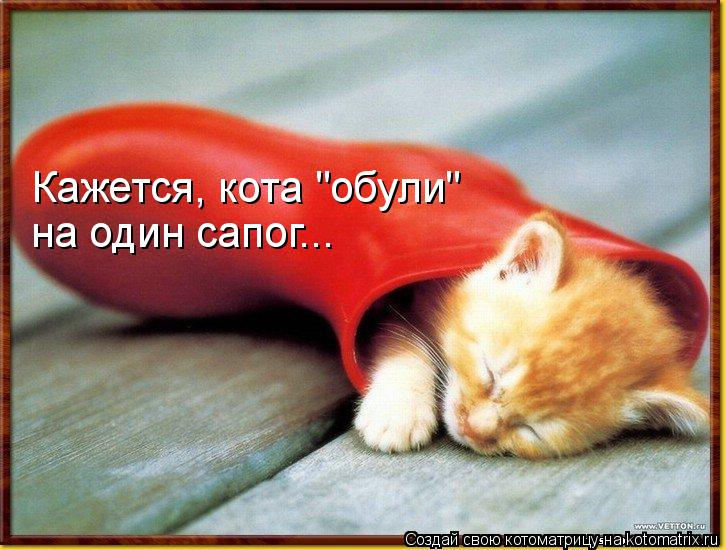 Котоматрица: Кажется, кота "обули" на один сапог...