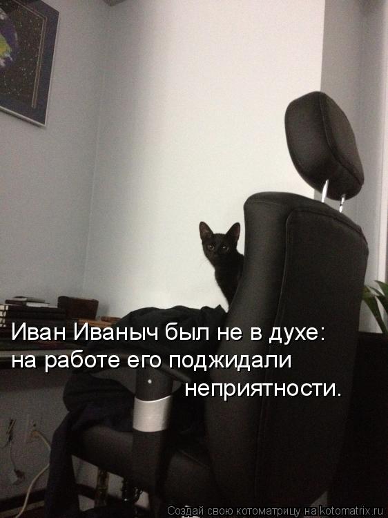 Котоматрица: Иван Иваныч был не в духе: на работе его поджидали  неприятности.