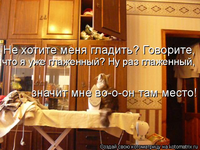 Котоматрица: Не хотите меня гладить? Говорите,  что я уже глаженный? Ну раз глаженный,  значит мне во-о-он там место!