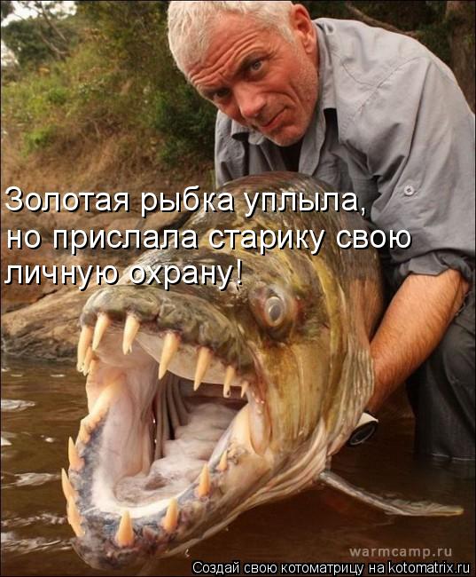 Котоматрица: Золотая рыбка уплыла, но прислала старику свою  личную охрану!