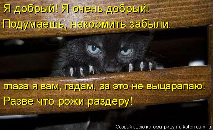 Котоматрица: Я добрый! Я очень добрый! Подумаешь, накормить забыли, глаза я вам, гадам, за это не выцарапаю! Разве что рожи раздеру!