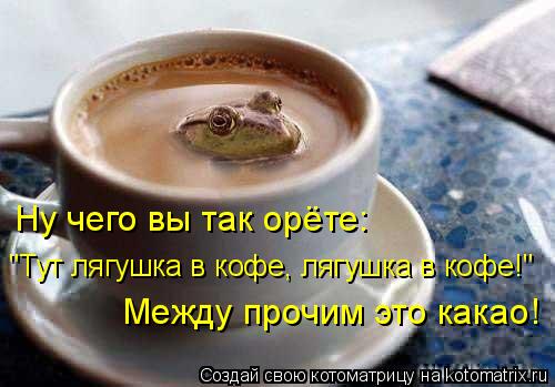 Котоматрица: Ну чего вы так орёте: Между прочим это какао! "Тут лягушка в кофе, лягушка в кофе!"
