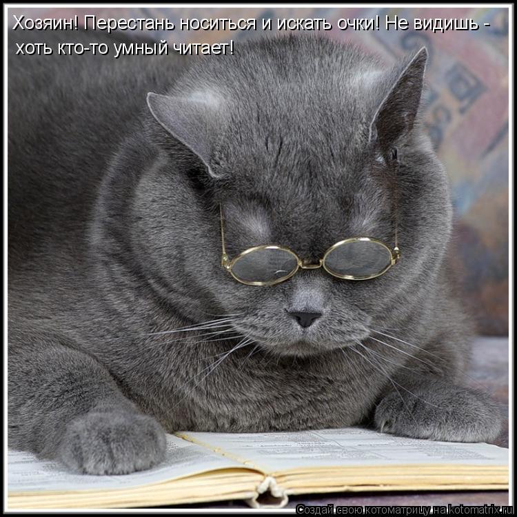 Котоматрица: Хозяин! Перестань носиться и искать очки! Не видишь -  хоть кто-то умный читает!