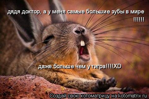 Котоматрица: дядя доктор, а у меня самые большие зубы в мире !!!!!!  даже больше чем у тигра!!!!XD