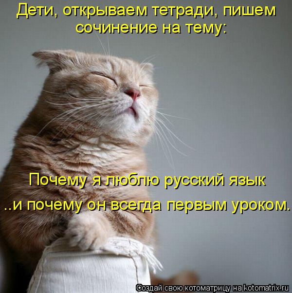 Котоматрица: Дети, открываем тетради, пишем сочинение на тему: Почему я люблю русский язык  ..и почему он всегда первым уроком.