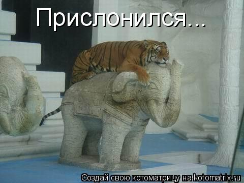 Котоматрица: Прислонился...