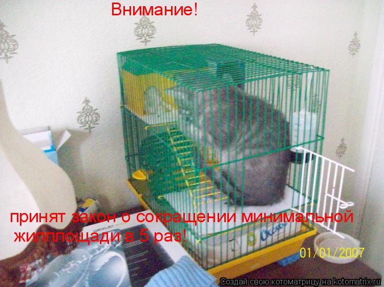 Котоматрица: Внимание! принят закон о сокращении минимальной жилплощади в 5 раз!