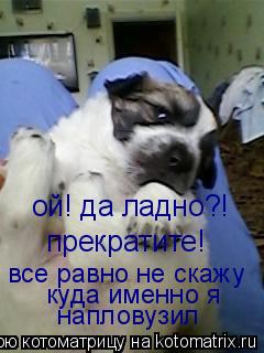 Котоматрица: ой! да ладно?!   прекратите! все равно не скажу куда именно я напловузил