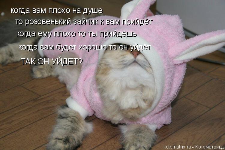 Котоматрица: когда вам плохо на душе то розовенький зайчик к вам прийдёт когда ему плохо то ты прийдёшь когда вам будет хорошо то он уйдёт ТАК ОН УЙДЕТ?