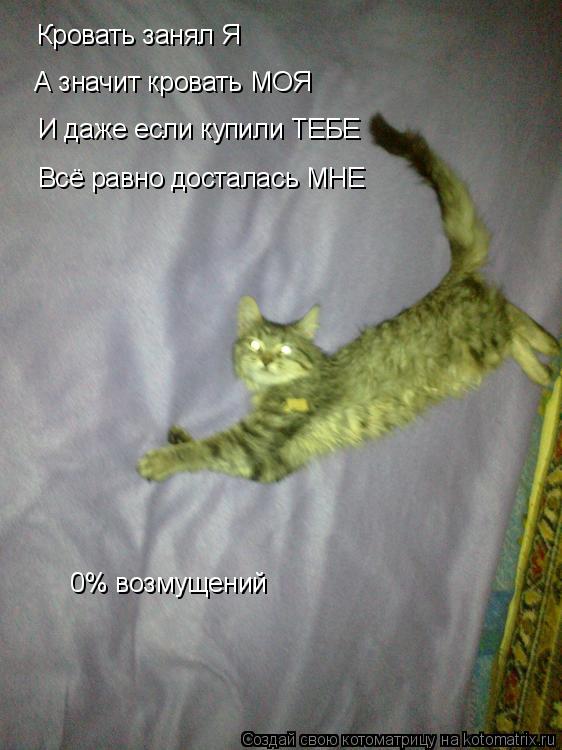 Котоматрица: Кровать занял Я А значит кровать МОЯ И даже если купили ТЕБЕ Всё равно досталась МНЕ 0% возмущений