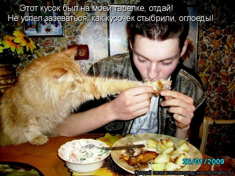 Котоматрица: Этот кусок был на моей тарелке, отдай! Не успел зазеваться, как кусочек стыбрили, оглоеды!