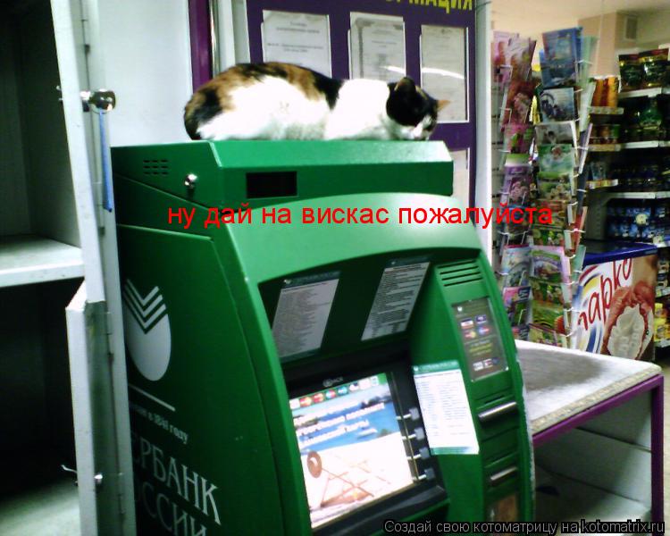 Котоматрица: ну дай на вискас пожалуйста