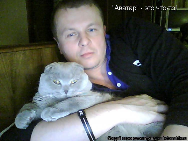 Котоматрица: "Аватар" - это что-то!