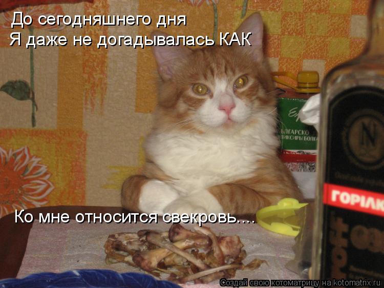 До сегодняшнего дня Я даже не догадывалась КАК Ко мне относится свекровь....... Котоматрица: До сегодняшнего дня Я даже не догадывалась КАК Ко мне относится свекровь....