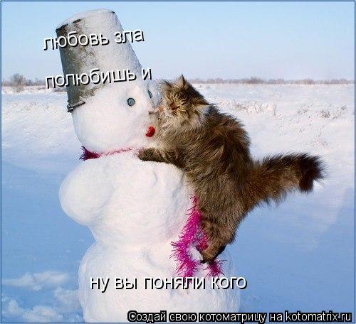 Котоматрица: любовь зла полюбишь и ну вы поняли кого