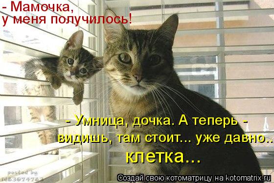 Котоматрица: - Мамочка, у меня получилось! - Умница, дочка. А теперь -  видишь, там стоит... уже давно... клетка...