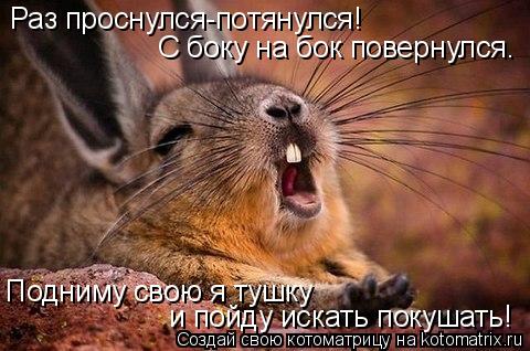 Котоматрица: Раз проснулся-потянулся! С боку на бок повернулся. Подниму свою я тушку и пойду искать покушать!