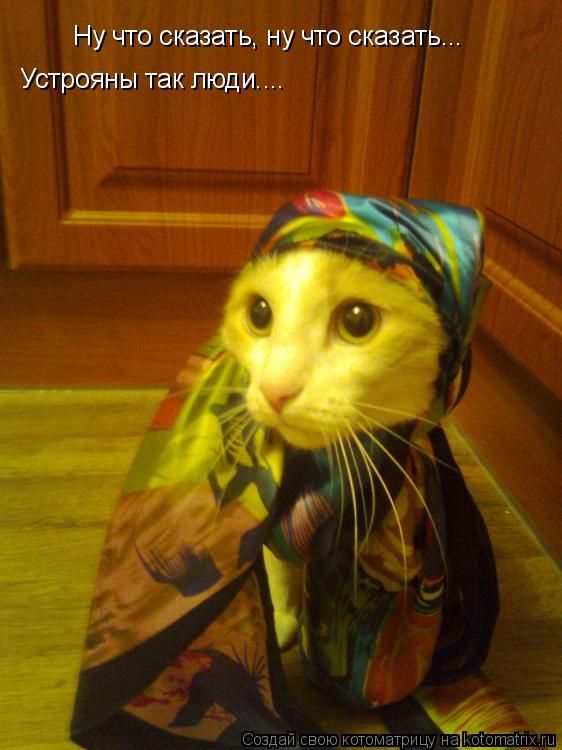 Котоматрица: Ну что сказать, ну что сказать... Устрояны так люди....