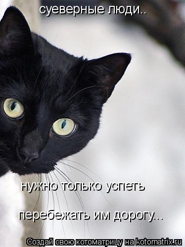 Котоматрица: суеверные люди.. нужно только успеть  перебежать им дорогу...