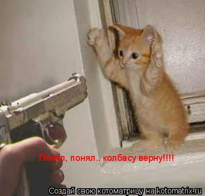Котоматрица: Понял, понял.. колбасу верну!!!!