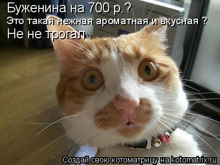 Котоматрица: Буженина на 700 р.?  Это такая нежная ароматная и вкусная ? Не не трогал .