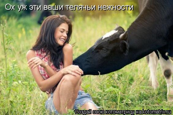 Котоматрица: Ох уж эти ваши телячьи нежности