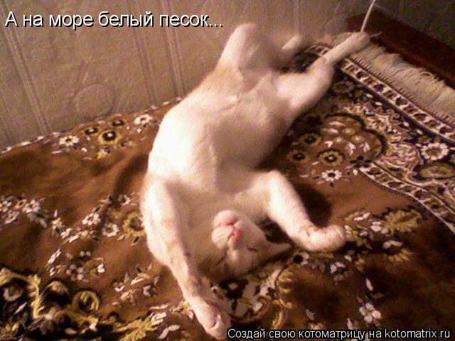 Котоматрица: А на море белый песок...